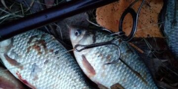 На Шполянщині троє браконьєрів наловили риби на понад мільйон гривень