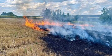 На Звенигородщині сталася масштабна пожежа 