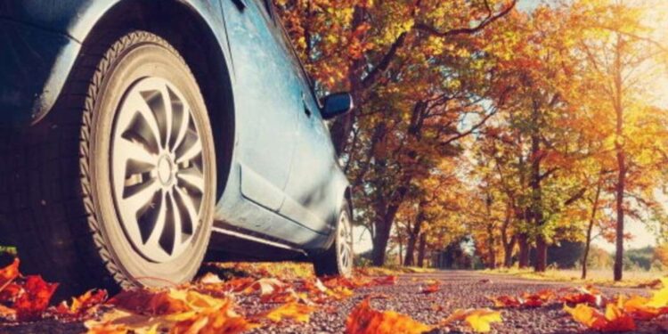 Підготовка авто до осені: 5 важливих процедур | |