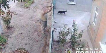 Поліція кваліфікувала як хуліганство обстріл жителем Кілії будинку сусідів :: Інтент :: Суспільно-політичне видання:: Регіональна мережа якісної журналістики