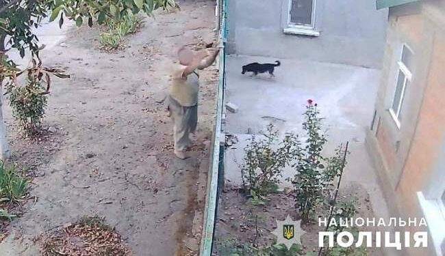 Поліція кваліфікувала як хуліганство обстріл жителем Кілії будинку сусідів :: Інтент :: Суспільно-політичне видання:: Регіональна мережа якісної журналістики