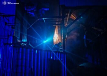 Пожежу зерносушильної камери загасили вночі миколаївські вогнеборці » Миколаївський Оглядач