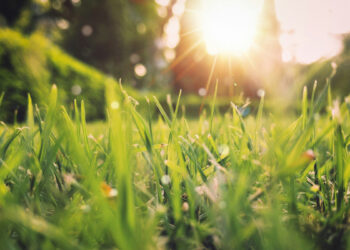 Прогноз погоди у Запоріжжі на 10 та 11 серпня – синоптики розповіли, що чекати мешканцям регіону  | Новости Запорожья