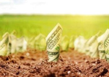 Прокуратура подала позов на повернення лісового фонду вартістю 170 мільйонів :: Інтент :: Суспільно-політичне видання:: Регіональна мережа якісної журналістики