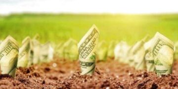 Прокуратура подала позов на повернення лісового фонду вартістю 170 мільйонів :: Інтент :: Суспільно-політичне видання:: Регіональна мережа якісної журналістики