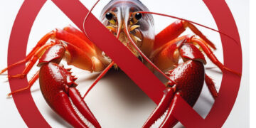 Штраф понад 3 тисячі гривень: на Житомирщині оголошена заборона на вилов раків | Журнал Житомира