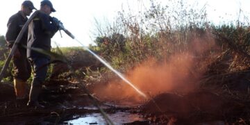 Торф горів на Полтавщині: що відомо – ПОЛТАВА СЬОГОДНІ