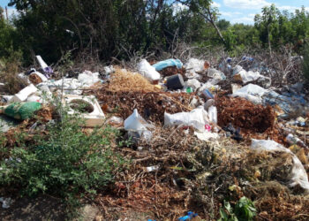 У Комунарському районі Запоріжжя виявили сміттєзвалище – деталі | Новости Запорожья