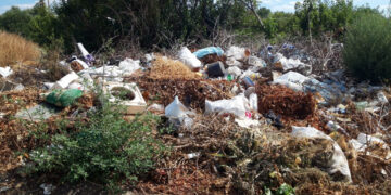 У Комунарському районі Запоріжжя виявили сміттєзвалище – деталі | Новости Запорожья
