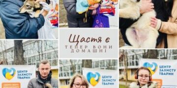 У Миколаєві з початку року «Центр захисту тварин» знайшов новий дім для 159 собак та 20 котів » Миколаївський Оглядач
