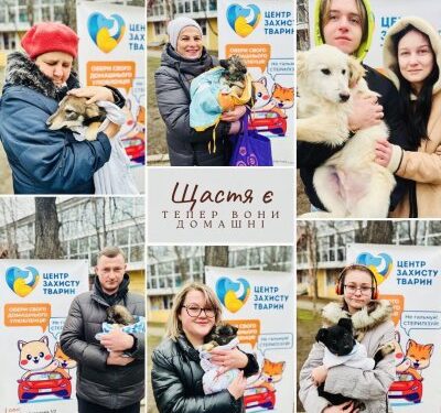 У Миколаєві з початку року «Центр захисту тварин» знайшов новий дім для 159 собак та 20 котів » Миколаївський Оглядач
