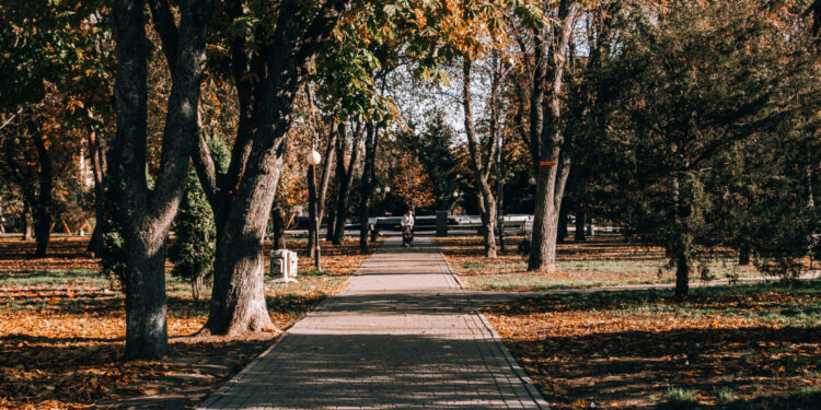 У Полтаві хочуть оновити Сонячний парк імені Євгена Браха