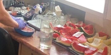 У Запоріжжі на ринках виявили кавуни та дині з нітратами – подробиці розповіли у Держпродспоживслужбі | Новости Запорожья