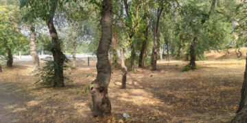 У Запоріжжі планують створити новий сквер Єднання – подробиці  | Новости Запорожья