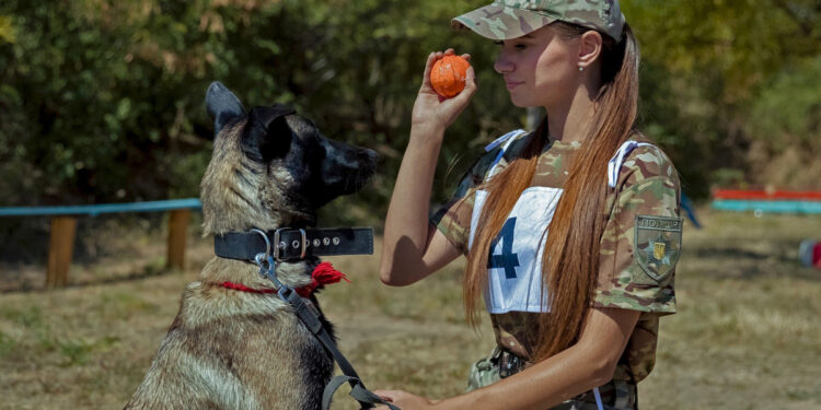 У Запоріжжі пройшов чемпіонат серед правоохоронців-кінологів – деталі | Новости Запорожья