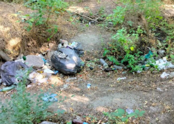 У Запоріжжі виявили купи сміття – спеціалісти екоінспекції розповіли деталі | Новости Запорожья