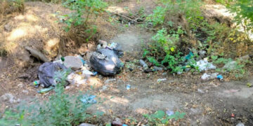 У Запоріжжі виявили купи сміття – спеціалісти екоінспекції розповіли деталі | Новости Запорожья