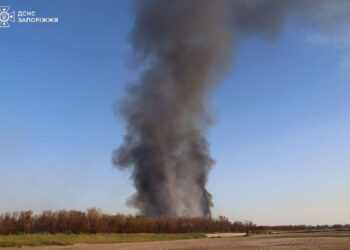 У Запоріжжі загасили пожежу у плавнях на Дніпрі – деталі | Новости Запорожья