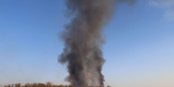 У Запоріжжі загасили пожежу у плавнях на Дніпрі – деталі | Новости Запорожья