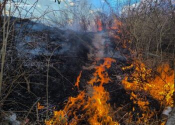 В Інгульському районі Миколаєва на території кладовища горить сухостій та чагарники » Миколаївський Оглядач
