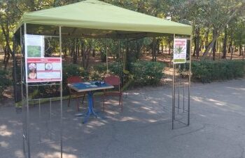 Вирви амброзію – отримай гроші: у Миколаєві розпочалася акція по боротьбі з алергенним бур’яном » Миколаївський Оглядач