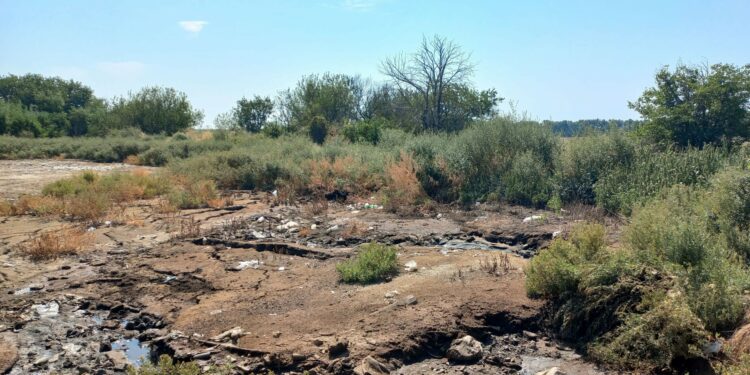 Забруднення земель Полтавщини: чоловік зливав нечистоти