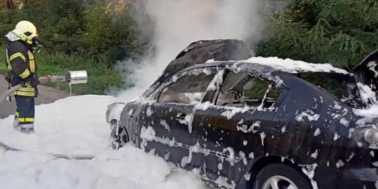 Загорівся моторний відсік: на Прикарпатті ліквідували пожежу автомобіля (ФОТО)