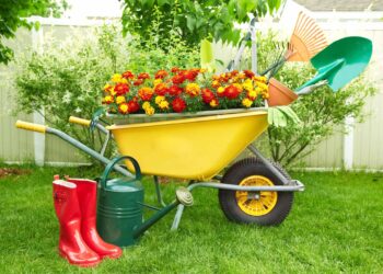 Лучшие подарки для дачи. Что выбрать для заядлого дачника