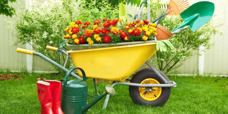 Лучшие подарки для дачи. Что выбрать для заядлого дачника