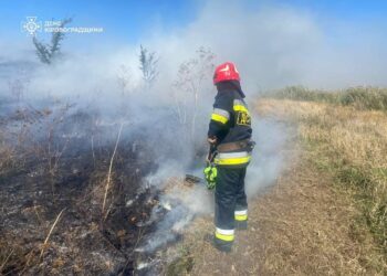 Рятувальники гасили понад 20 пожеж на відкритих територіях у Кіровоградській області