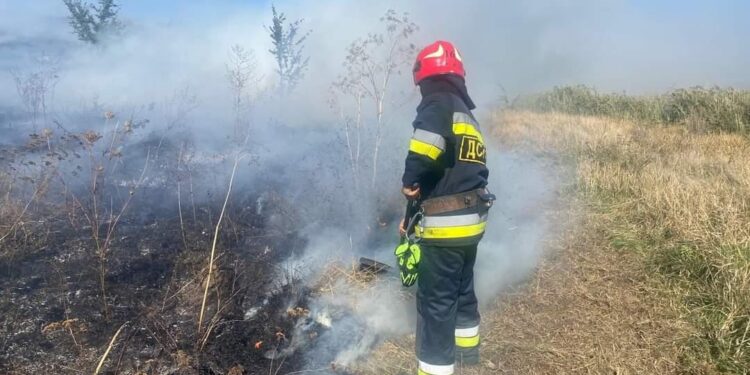 Рятувальники гасили понад 20 пожеж на відкритих територіях у Кіровоградській області