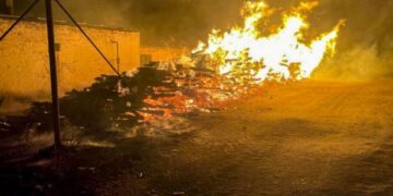80 метрів кубічних дров згоріло на підприємстві Золотоніщині  — Новини Черкащіни