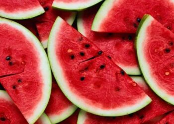 На деокупованій Херсонщині зібрали майже 18 тис т кавунів – ЭКОНОМИКА