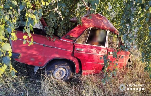 Авто врізалося в дерево: на Черкащині сталася смертельна аварія