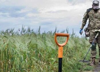 Уряд компенсуватиме 100% фермерам, які розміновуватимуть сільгоспземлі – ЭКОНОМИКА