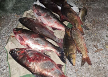 Державні інспектори Запорізького рибоохоронного патруля проводять рейди – куди повідомляти про браконьєрів | Новости Запорожья