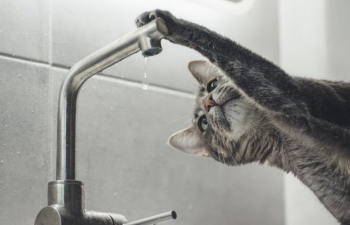 До 20.00 5 вересня буде припинено водопостачання в деякі будинки » Миколаївський Оглядач