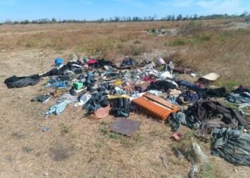 У Кропивницькому вантажівкою вивозили сміття в лісосмугу