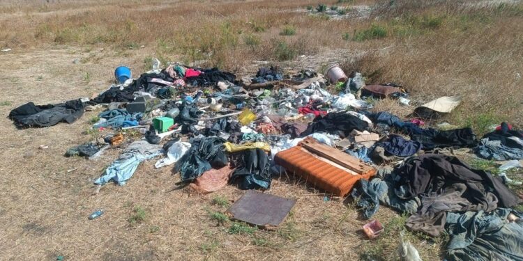 У Кропивницькому вантажівкою вивозили сміття в лісосмугу