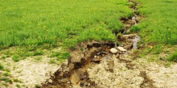 Ерозія пошкодила понад 20% земель Полтавщини – ПОЛТАВА СЬОГОДНІ