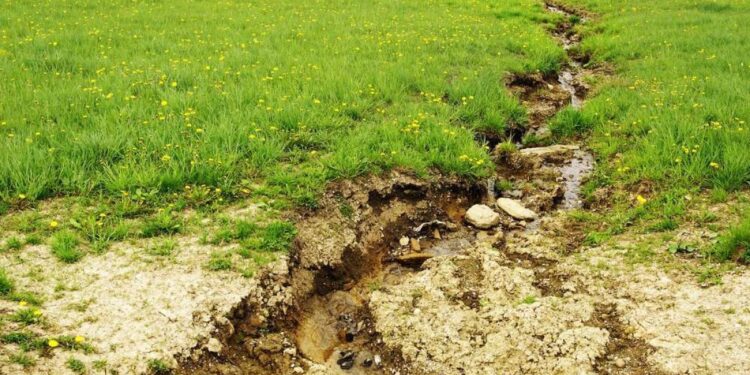 Ерозія пошкодила понад 20% земель Полтавщини – ПОЛТАВА СЬОГОДНІ