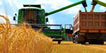 В Україні вже зібрано понад 44,5 млн т врожаю – ЭКОНОМИКА