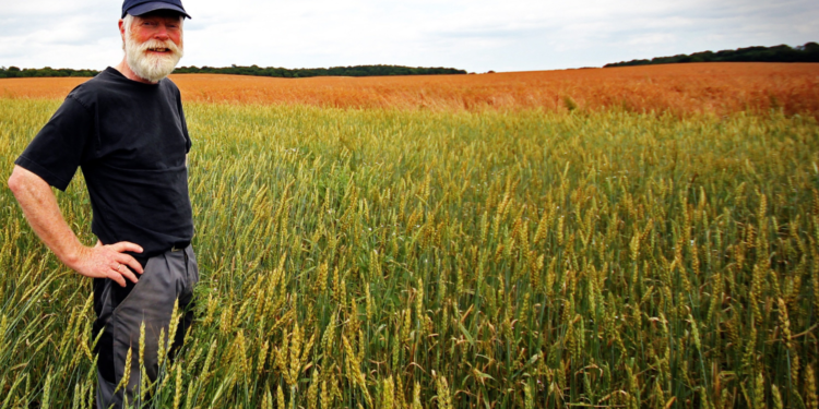 Фермерське господарство використовує земельну ділянку, яку орендує його засновник: хто сплачує орендну плату?