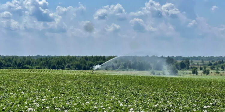 Фермерське господарство з Житомирщини першим освоює реформу гідротехнічної меліорації | Журнал Житомира