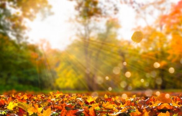 Якою буде погода на Черкащині на вихідних