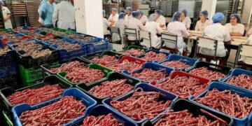 Льодяники зі смілянського підприємства є на полицях магазинів понад 20 країн