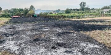На Черкащині спіймали  палія сухої рослинності