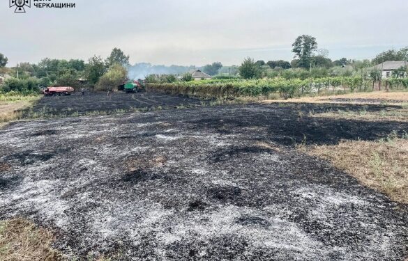 На Черкащині спіймали палія сухої рослинності