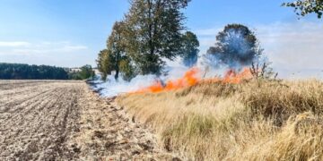 На Черкащині сталося 8 пожеж на відкритих територіях 
