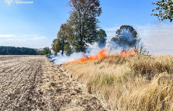 На Черкащині сталося 8 пожеж на відкритих територіях